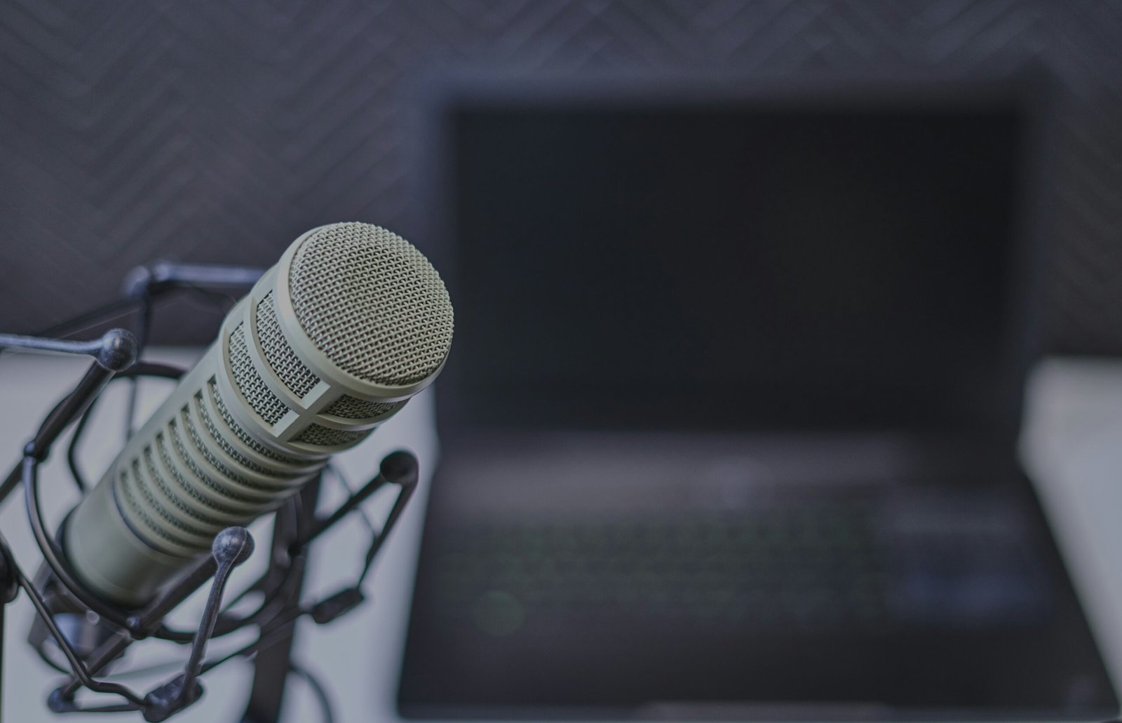 Close-up of a condenser microphone.